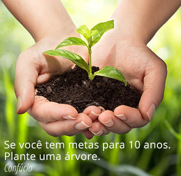Se voc tem metas para 10 anos. Plante uma rvore.